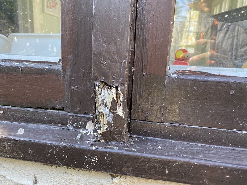 Wood was rotted